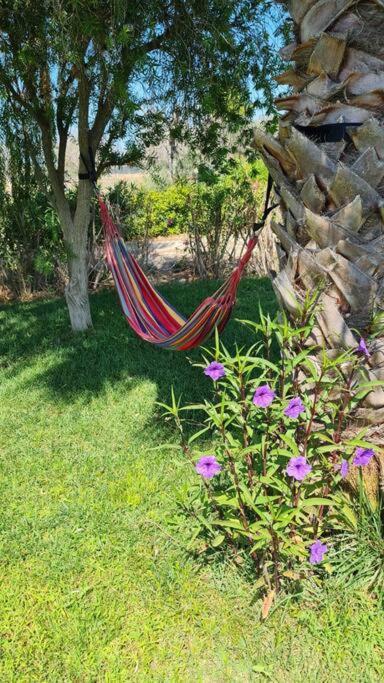 Villa Delle Stelle Con Piscina เลเวราโน ภายนอก รูปภาพ